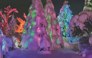 Božična bajka 2 - Mozirski gaj - park cvetja in muzej na prostem