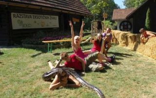 Bioexo v Mozirskem gaju 3 - Mozirski gaj - park cvetja in muzej na prostem