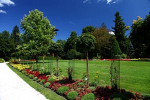 Mozirski gaj - home 1 park mozirski gaj drevored evropske unije 01 - Mozirski gaj - park cvetja in muzej na prostem