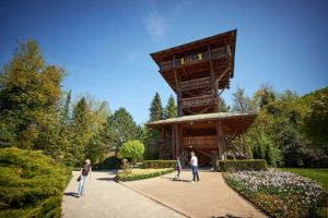 Mozirski gaj - home 14 park mozirski gaj razgledni stolp svea 04 - Mozirski gaj - park cvetja in muzej na prostem