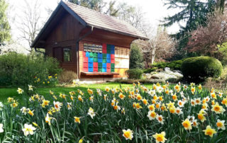 mozirski-gaj-pomlad-2020-narcise-cebelnjak