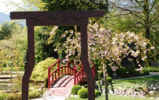 mozirskigaj pomlad 2020 japonski vrt - Mozirski gaj - park cvetja in muzej na prostem