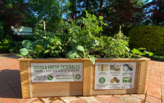 eksenales-visoka-greda-mozirski-gaj-1