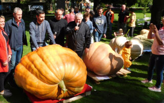 najtezje buce mozirski gaj 2019 - Mozirski gaj - park cvetja in muzej na prostem