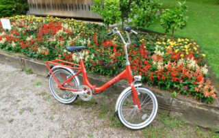 pony mozirskigaj nagradna igra - Mozirski gaj - park cvetja in muzej na prostem