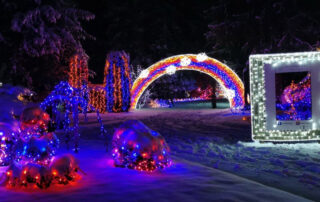 mozirski-gaj-zimska-pravljica-5.1