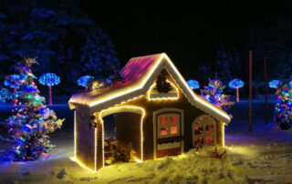 bozicna bajka mozirski gaj 1 - Mozirski gaj - park cvetja in muzej na prostem