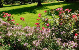 mozirski gaj razstava bioexo 08 2021 - Mozirski gaj - park cvetja in muzej na prostem