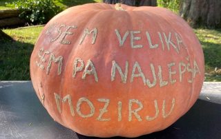 tekmovanje-buce-2021-mozirski-gaj-04