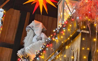 V Mozirski gaj prihaja 8. Božična bajka Slovenije 2 bozicna bajka slovenije mozirski gaj 2023 - Mozirski gaj - park cvetja in muzej na prostem