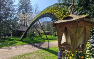 mozirski gaj 2025 7 e1744033046523 - Mozirski gaj - park cvetja in muzej na prostem