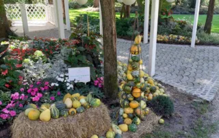 najtezja buca 2025 mozirskigaj 011 - Mozirski gaj - park cvetja in muzej na prostem