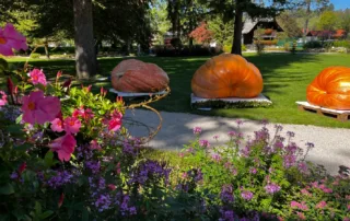 najtezja buca 2025 mozirskigaj 014 - Mozirski gaj - park cvetja in muzej na prostem