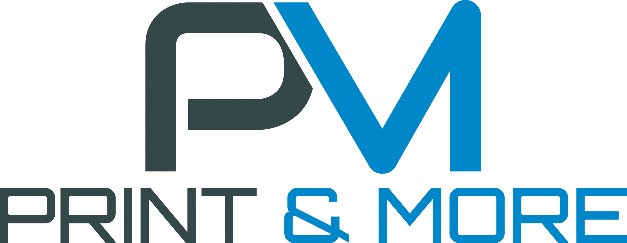 LOGO PrintMore BARVE scaled - Mozirski gaj - park cvetja in muzej na prostem