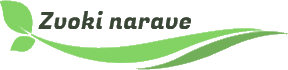 logo zvoki no bg - Mozirski gaj - park cvetja in muzej na prostem