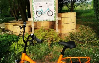 pony mozirskigajj rog 2025 - Mozirski gaj - park cvetja in muzej na prostem