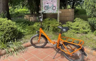 rog pony mozirskigaj 2025 - Mozirski gaj - park cvetja in muzej na prostem