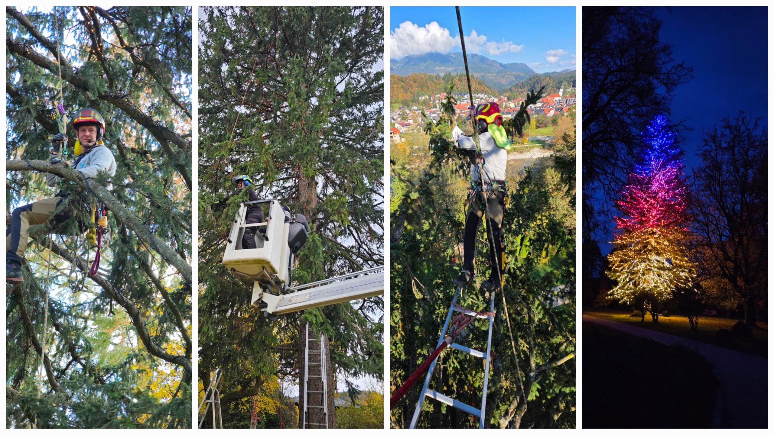 Božična bajka Slovenije 2025