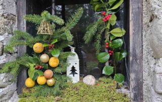 bozicna bajka mozirski gaj 2025 01 - Mozirski gaj - park cvetja in muzej na prostem