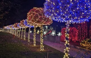 bozicna bajka mozirski gaj 2025 02 - Mozirski gaj - park cvetja in muzej na prostem