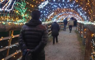 bozicna bajka mozirski gaj 2025 04 - Mozirski gaj - park cvetja in muzej na prostem