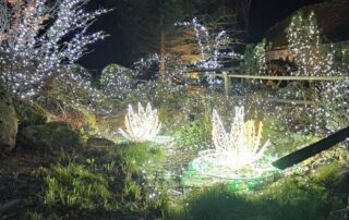 bozicna bajka mozirski gaj 2025 06 - Mozirski gaj - park cvetja in muzej na prostem