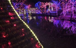 bozicna bajka mozirski gaj 2025 07 - Mozirski gaj - park cvetja in muzej na prostem