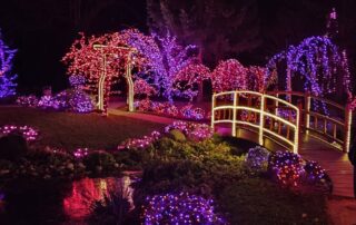 bozicna bajka mozirski gaj 2025 08 - Mozirski gaj - park cvetja in muzej na prostem