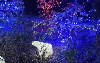 bozicna bajka mozirski gaj 2025 09 - Mozirski gaj - park cvetja in muzej na prostem