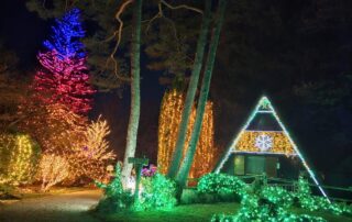 bozicna bajka mozirski gaj 2025 10 - Mozirski gaj - park cvetja in muzej na prostem