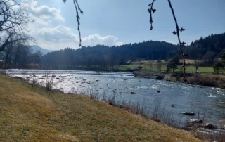 mozirski gaj pomlad 2026 03 - Mozirski gaj - park cvetja in muzej na prostem