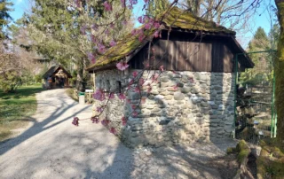 mozirski gaj pomlad 2026 04 - Mozirski gaj - park cvetja in muzej na prostem