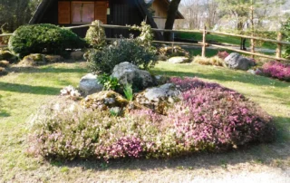 mozirski gaj pomlad 2026 05 - Mozirski gaj - park cvetja in muzej na prostem