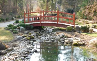 mozirski gaj pomlad 2026 06 - Mozirski gaj - park cvetja in muzej na prostem