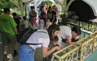 mozirskigaj-bioexo-2026-1 mozirskigaj bioexo 2026 1 - Mozirski gaj - park cvetja in muzej na prostem