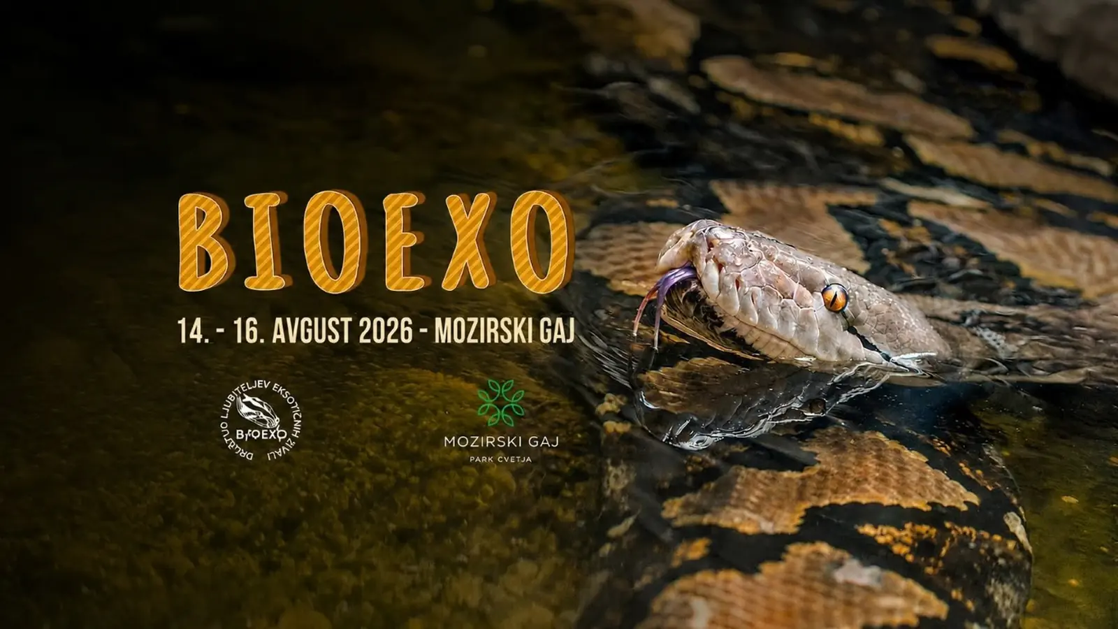 V Mozirski gaj se vrača Bioexo 1 V Mozirski gaj se vrača Bioexo