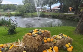 mozirskigaj buce jesen 2026 10 - Mozirski gaj - park cvetja in muzej na prostem