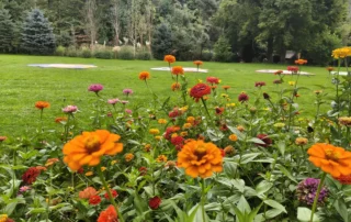 mozirskigaj buce jesen 2026 6 - Mozirski gaj - park cvetja in muzej na prostem