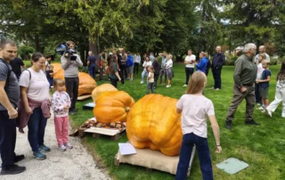 mozirskigaj buce tekmovanje jesen 2026 3 - Mozirski gaj - park cvetja in muzej na prostem