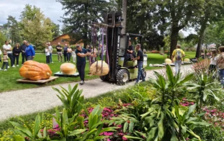 mozirskigaj buce tekmovanje jesen 2026 5 - Mozirski gaj - park cvetja in muzej na prostem